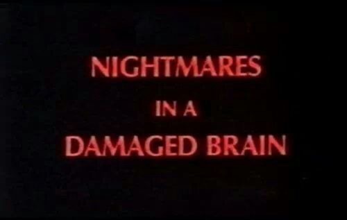 🕊️ Błędne koło