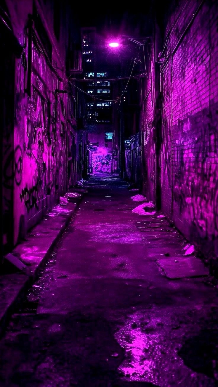 🕊️ Powrót (kolejny) do rytmu