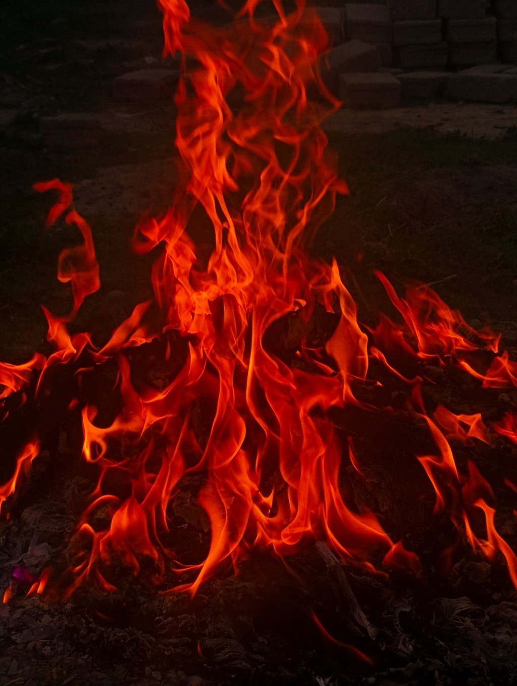 🫀 Granice — układ odpornościowy