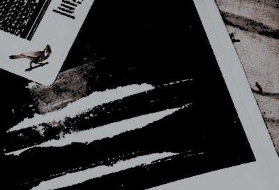 🕊️ Kolejny raz od siebie