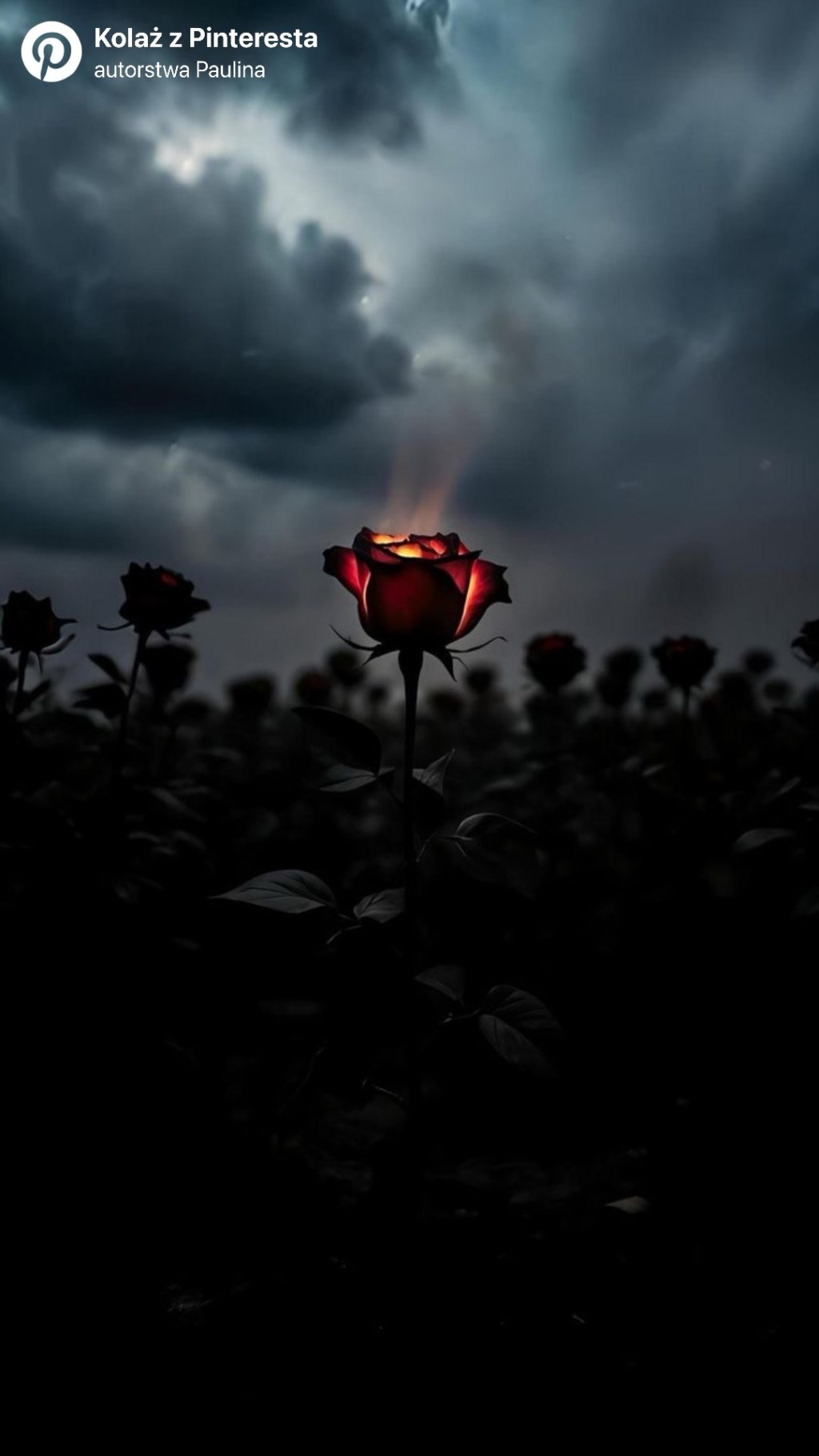 💭 Najtrudniejsza walka nie toczy się z innymi tylko z samym sobą.