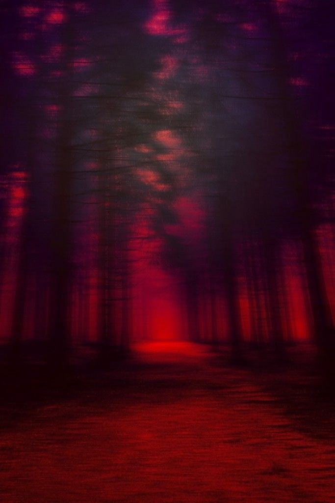 🌱 Gdy wiesz, a jeszcze czujesz