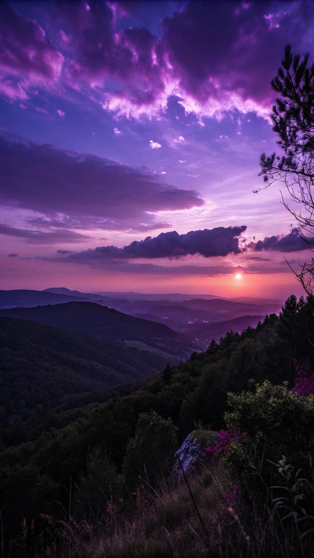 🌏 Świat przebodźcowany